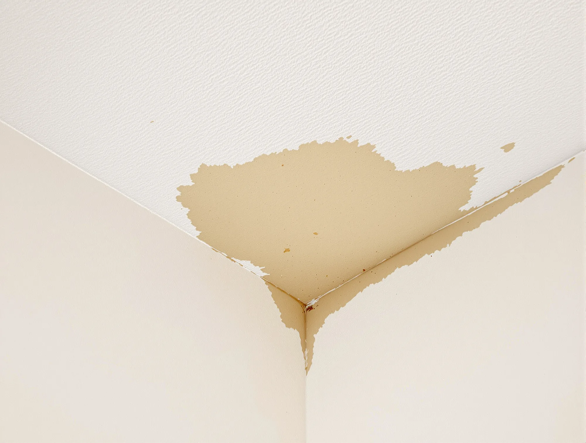 Textured white ceiling with a brown water stain ring around a recessed light